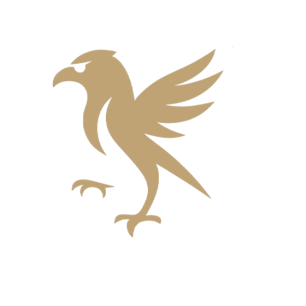 Riverhawk Logo - RVSC Parkersburg Soccer